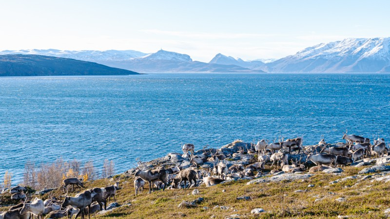 Europas Norden - Roadtrip Skandinavien 