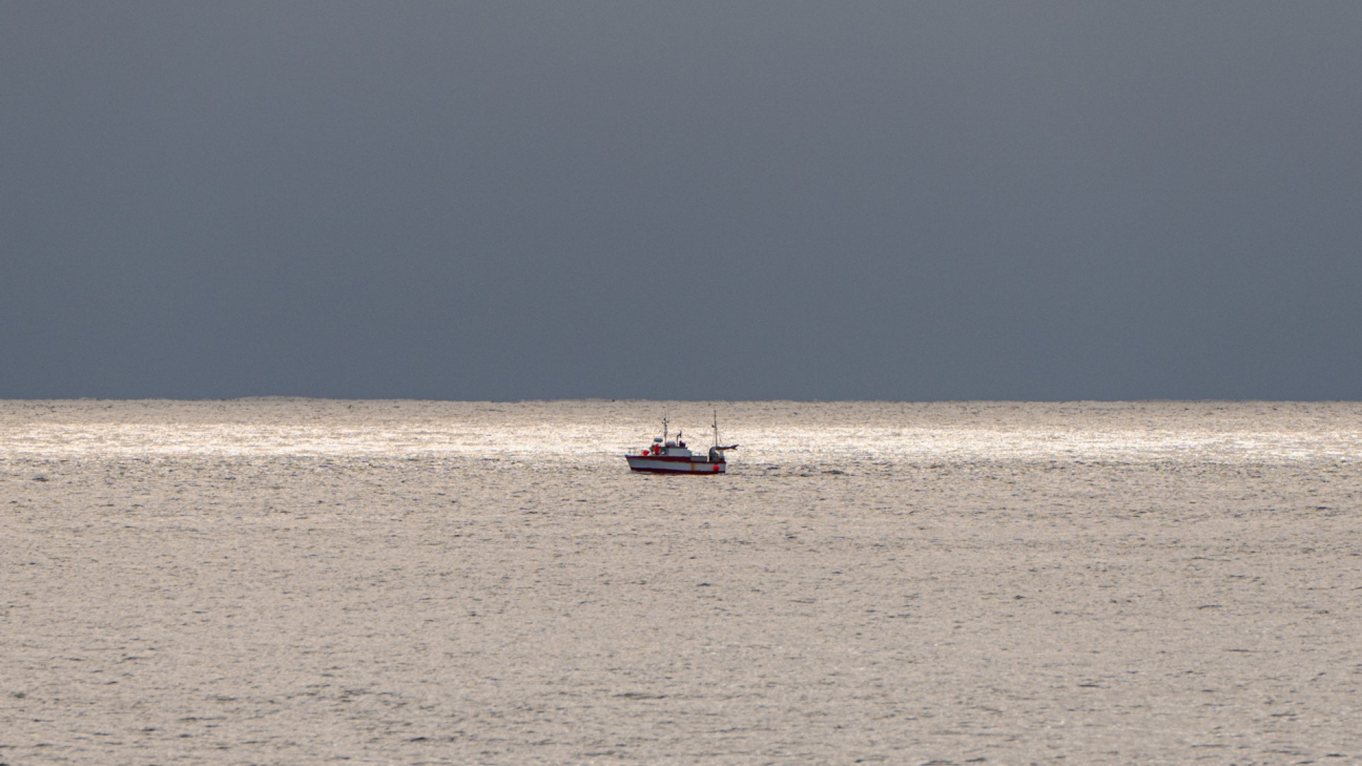 A7407235(1)
